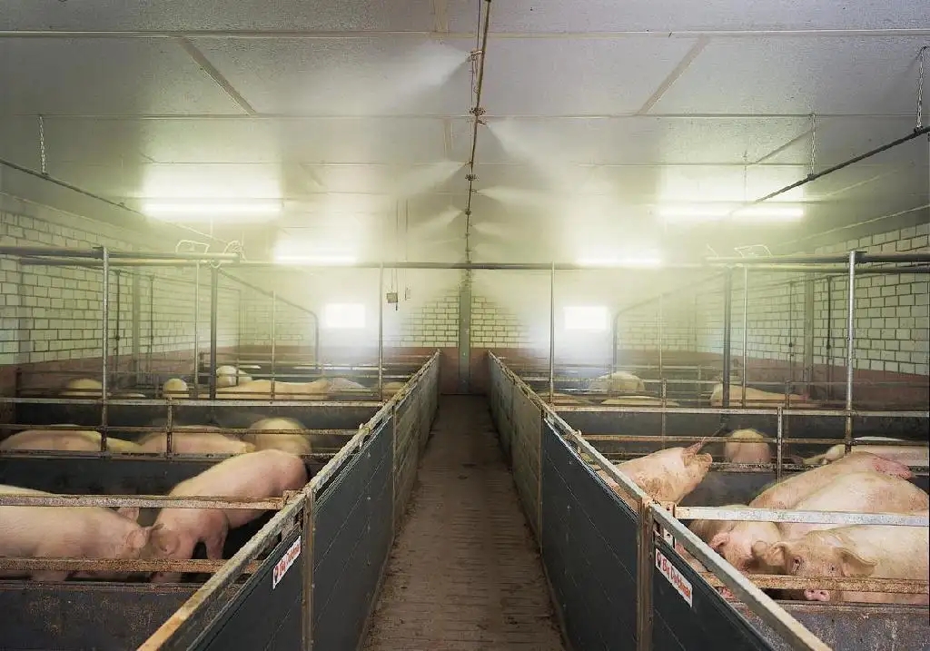 除了运用除臭剂，还有7种办法进行江苏养猪场除异味