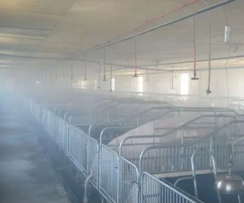 如何确保江苏养殖场除臭过程对动物友好？