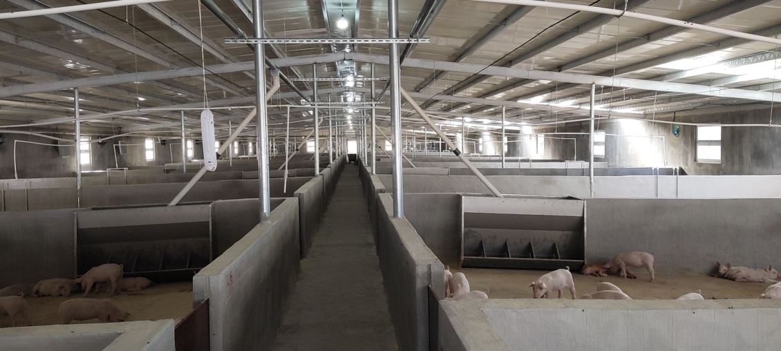 如何评估江苏养猪场除臭的效果，并进行持续的优化和改进？